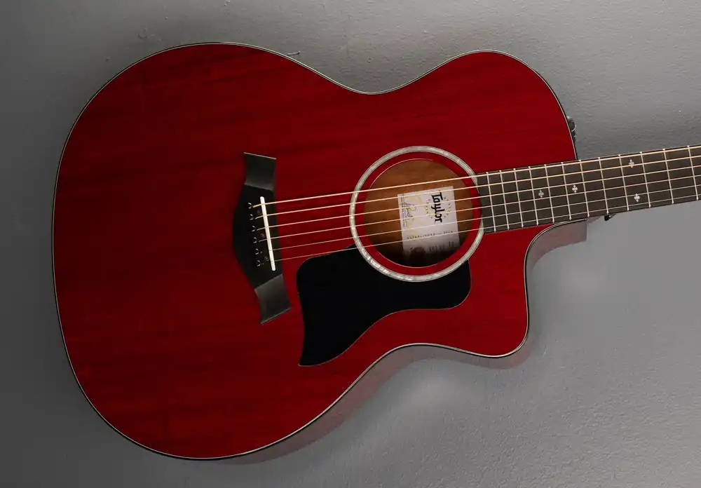 224CE Plus Special Edition '25– Dave's Guitar Shop Trusted Brand