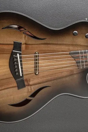"Build to Order" Custom T5Z '22– Dave's Guitar Shop Premium