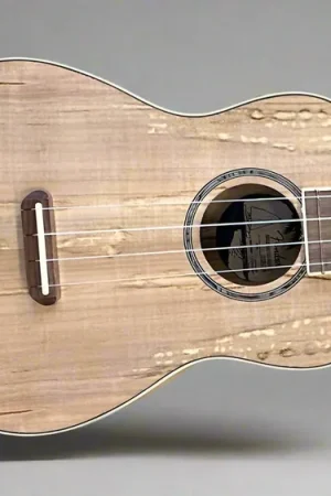 ZUMA EXOTIC CONCERT UKULELE– Dave's Guitar Shop Exclusive