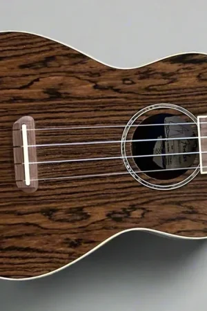 Zuma Exotic Concert Ukulele– Dave's Guitar Shop New Release