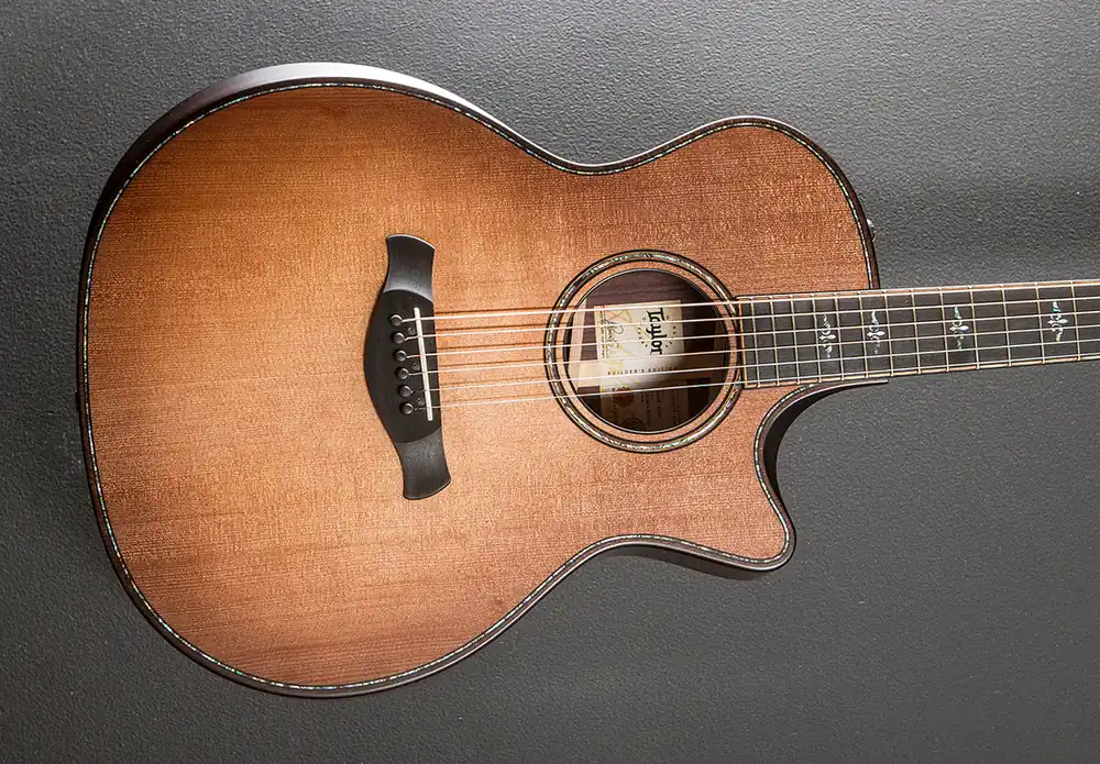 Builder's Edition 914CE WHB– Dave's Guitar Shop Direct From Manufacturer