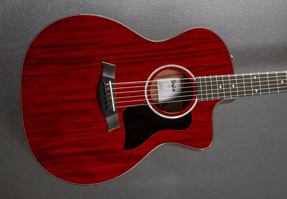 Clearance 224CE Plus Special Edition '25– Dave's Guitar Shop