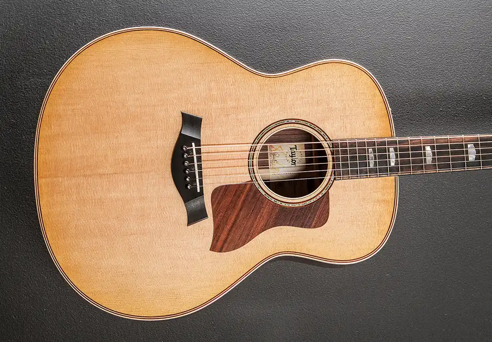 Exclusive Offer 818E– Dave's Guitar Shop