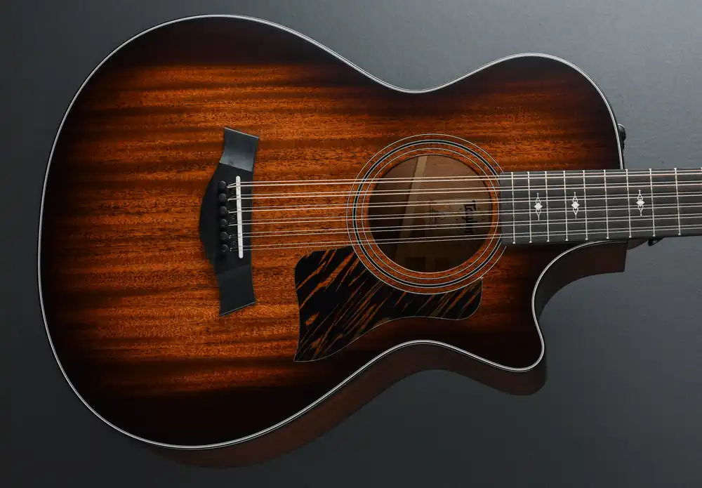 362CE 12 String– Dave's Guitar Shop Trending