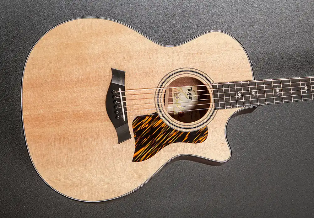 Professional Grade 314CE– Dave's Guitar Shop