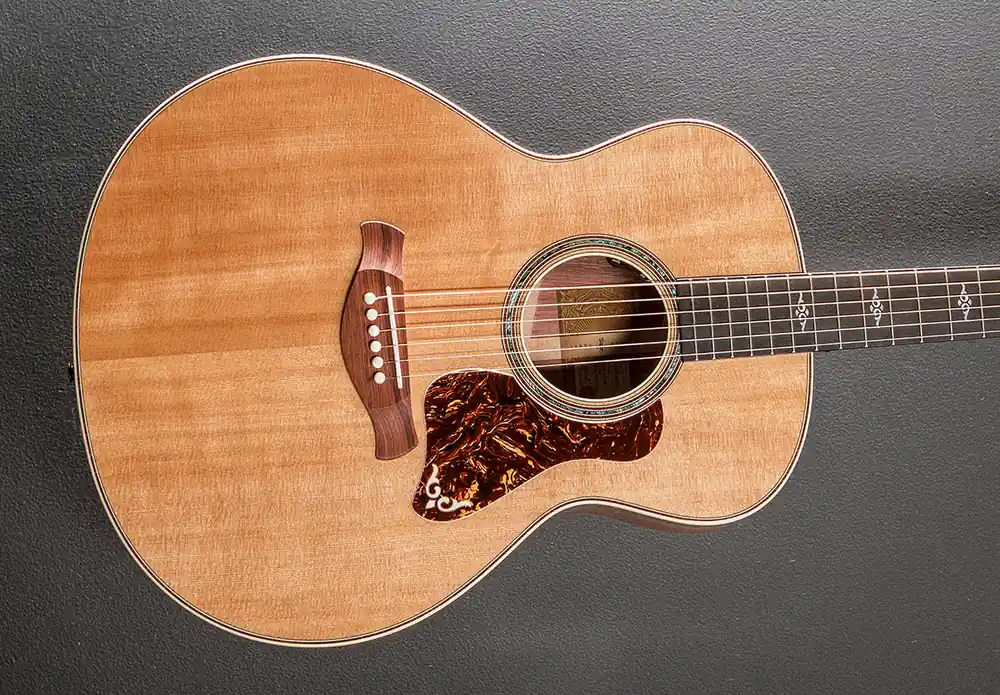 Gold Label 814E– Dave's Guitar Shop Hot Picks