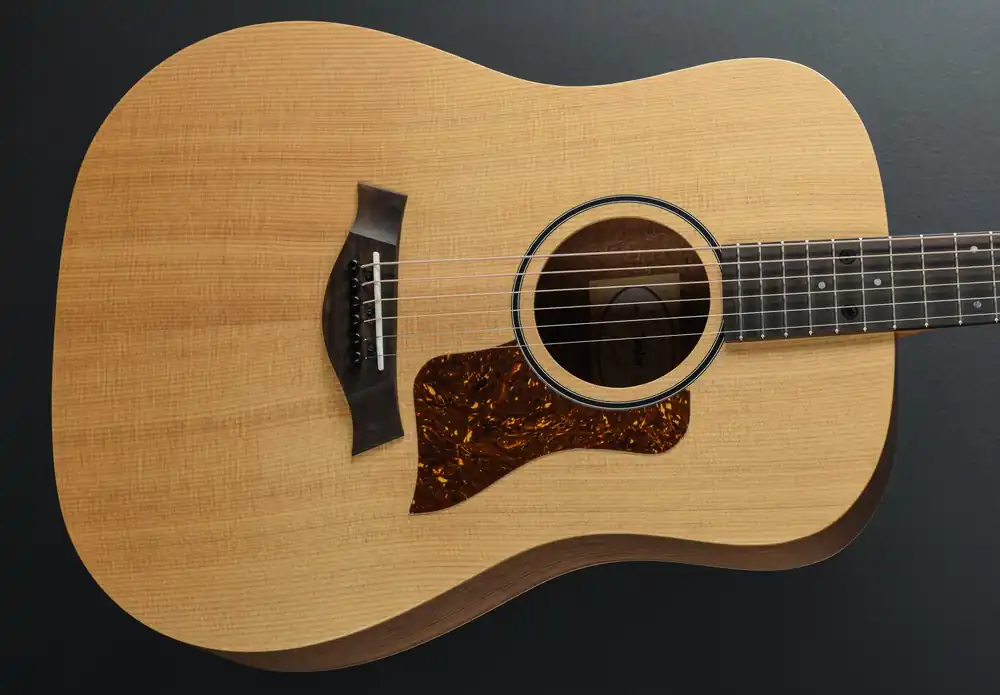 Holiday Sale Academy 10– Dave's Guitar Shop