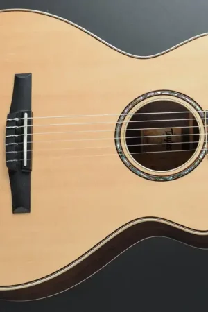 812CE-N– Dave's Guitar Shop Limited Edition