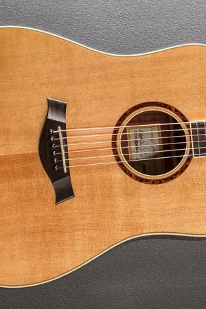 25th Anniversary XXV-DR '00– Dave's Guitar Shop Markdown