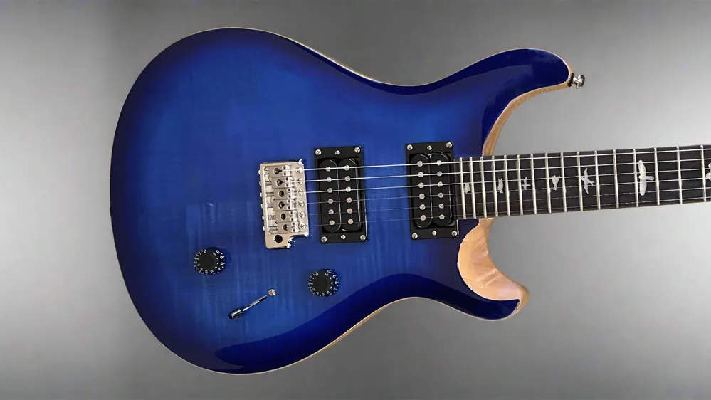 SE Custom 24 '22– Dave's Guitar Shop Buy Online