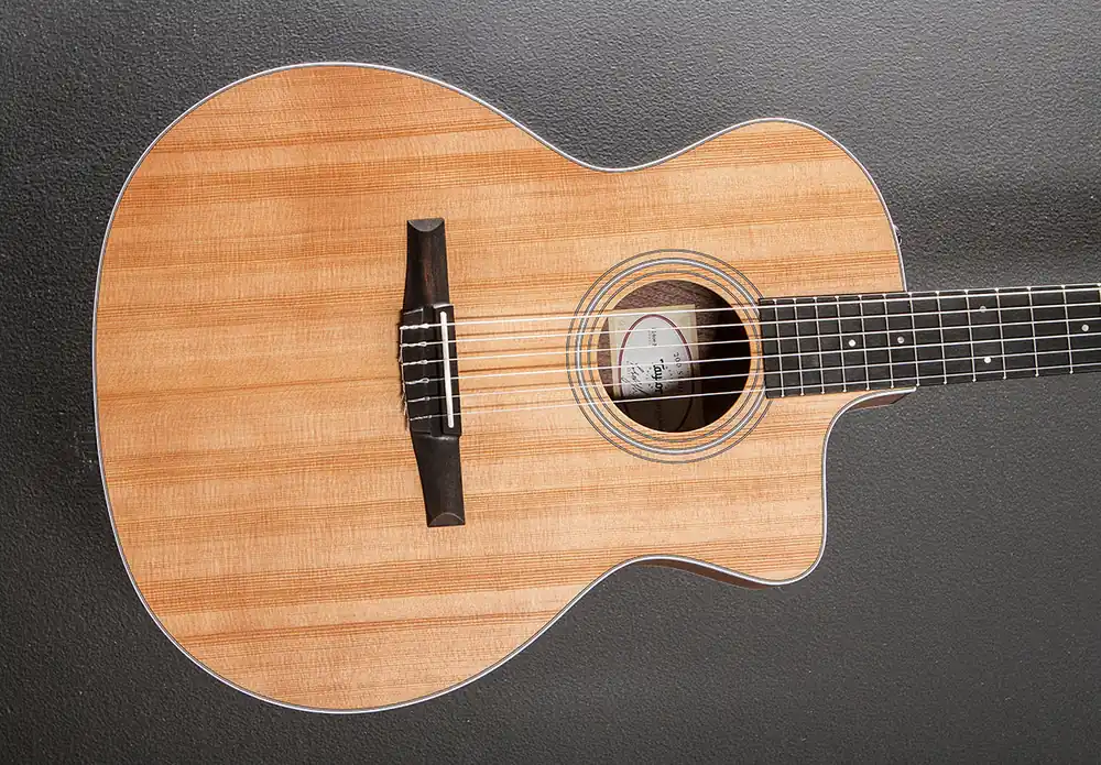 Brand New 214CE-N Walnut– Dave's Guitar Shop