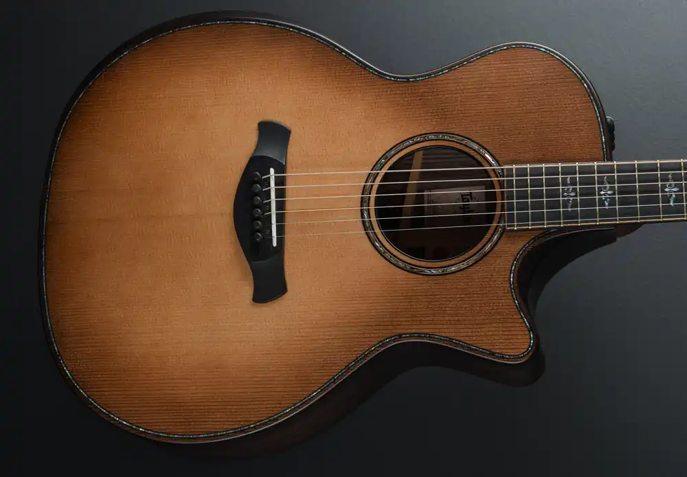 Builder's Edition 914CE - Wild Honey Burst– Dave's Guitar Shop Budget