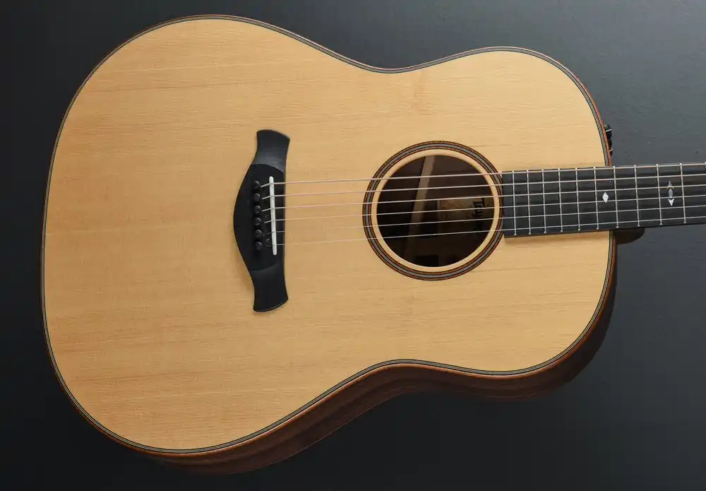 Best Seller Builder’s Edition 717E– Dave's Guitar Shop