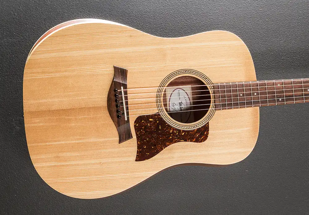 Academy 10E - Sitka Spruce w/Walnut– Dave's Guitar Shop Brand New