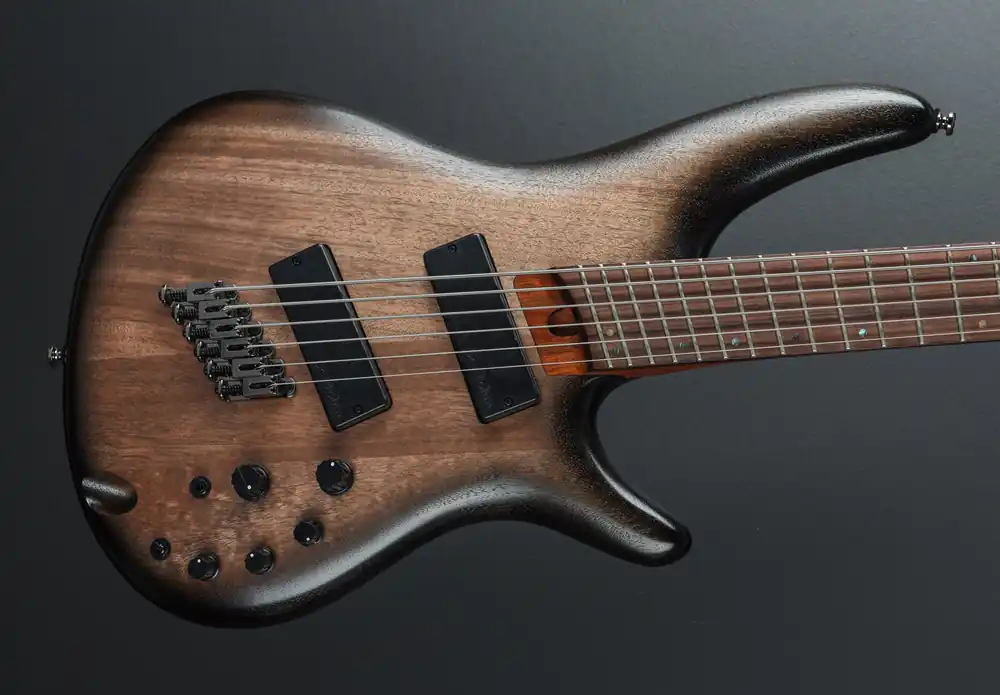 Premium SRC6MS Bass - Black Stained Burst Low Gloss– Dave's Guitar Shop