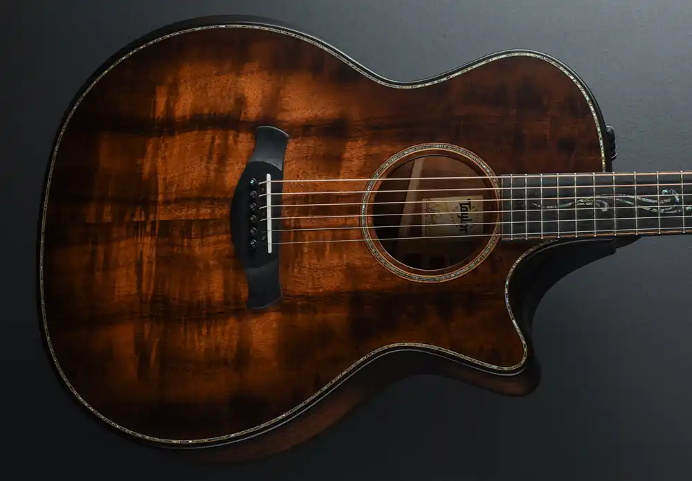 Mega Sale Builder's Edition K24CE– Dave's Guitar Shop