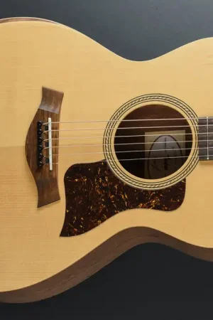 Academy 12e– Dave's Guitar Shop Low Price