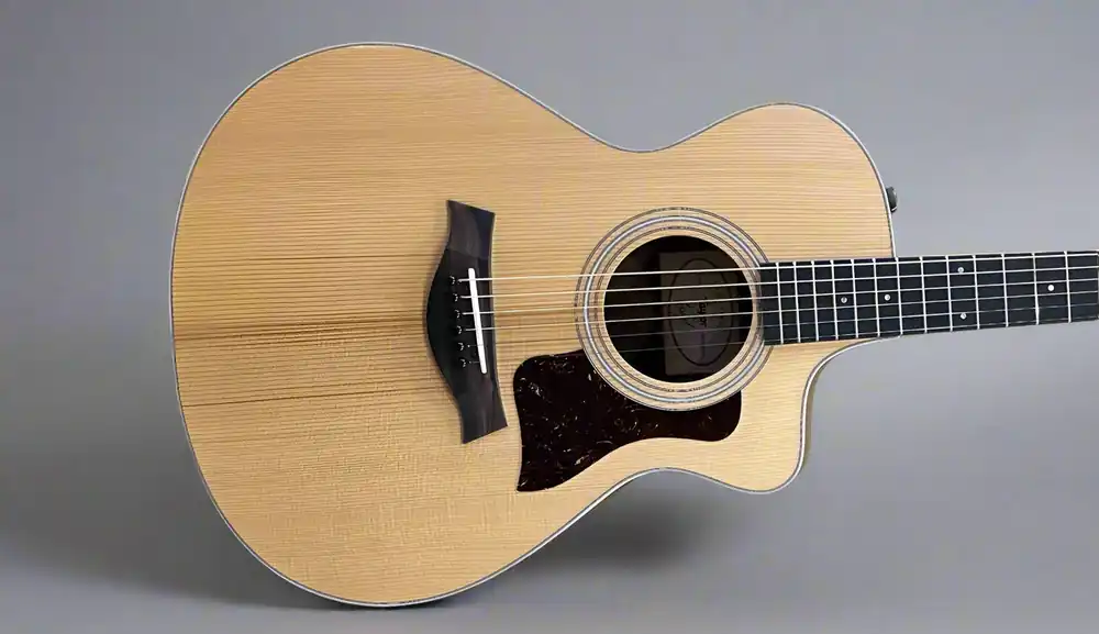 Reduced Price 212CE Walnut– Dave's Guitar Shop