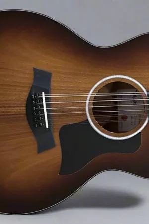 264ce-K DLX 12-String– Dave's Guitar Shop Popular