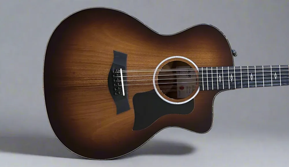 264ce-K DLX 12-String– Dave's Guitar Shop Popular