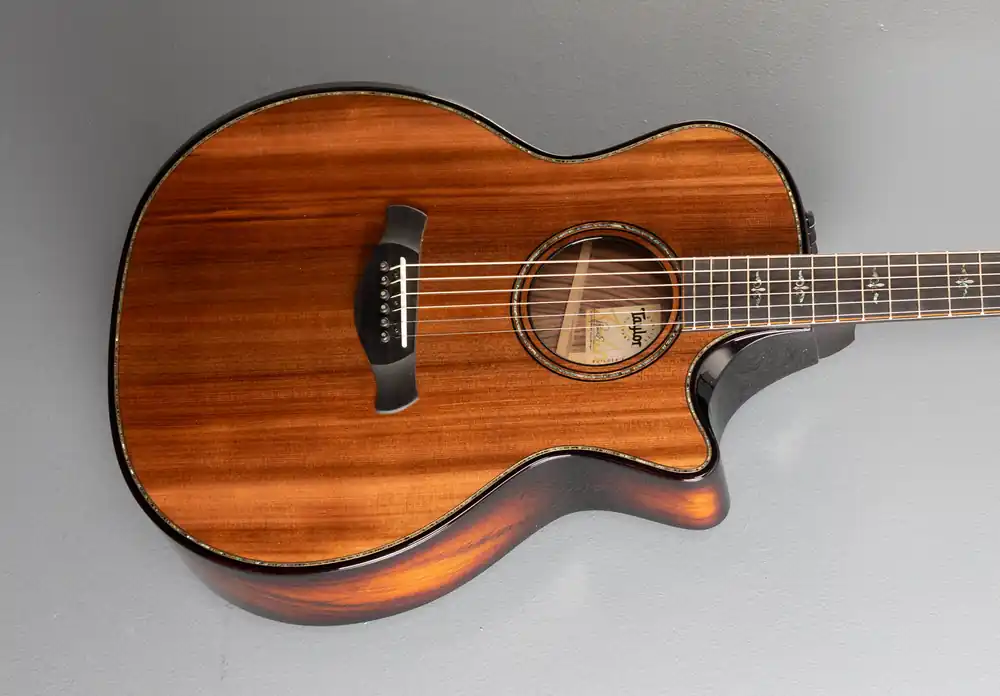 Time-Limited Builder's Edition 914ce– Dave's Guitar Shop