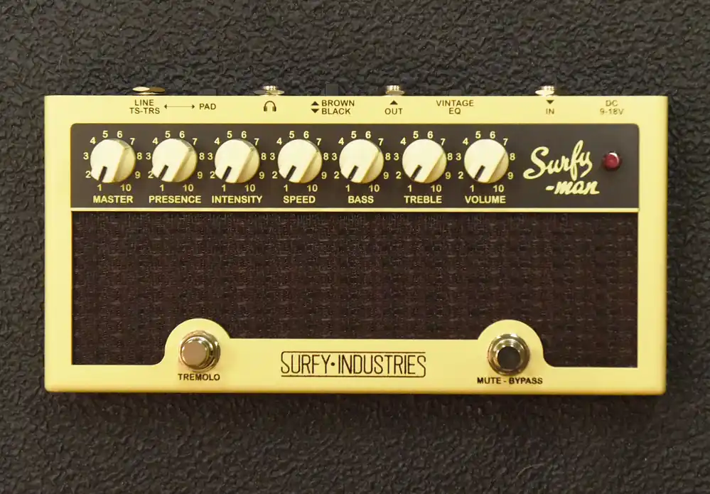 SurfyMan– Dave's Guitar Shop Don’t Miss Out