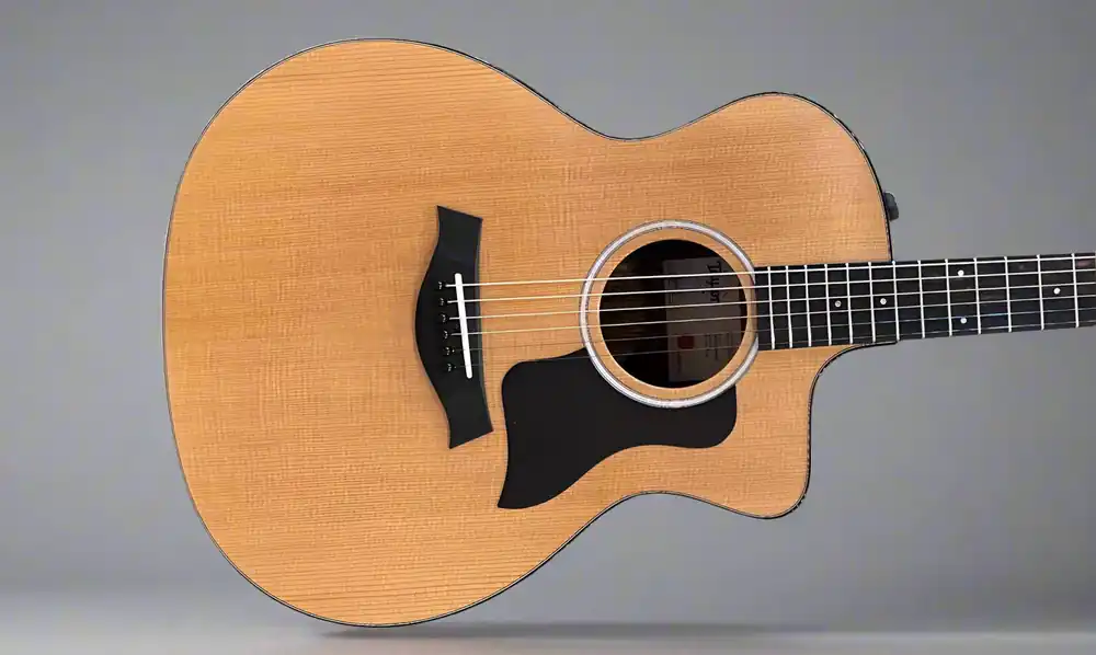 Order Now 214CE Plus– Dave's Guitar Shop
