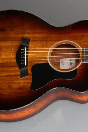 224ce-K DLX– Dave's Guitar Shop Low Price