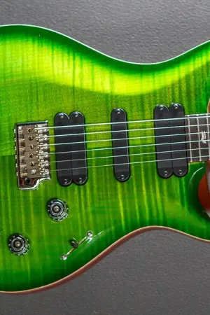 509 - Eriza Verde (2023 Model)– Dave's Guitar Shop Free Shipping