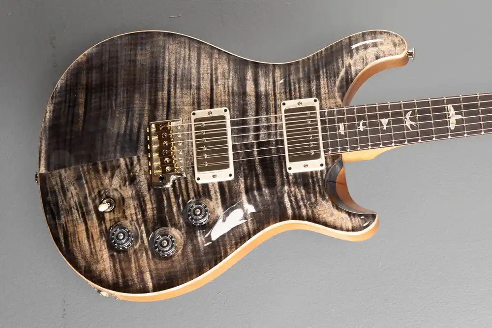 DGT (David Grissom Trem) - Charcoal w/Birds– Dave's Guitar Shop Viral