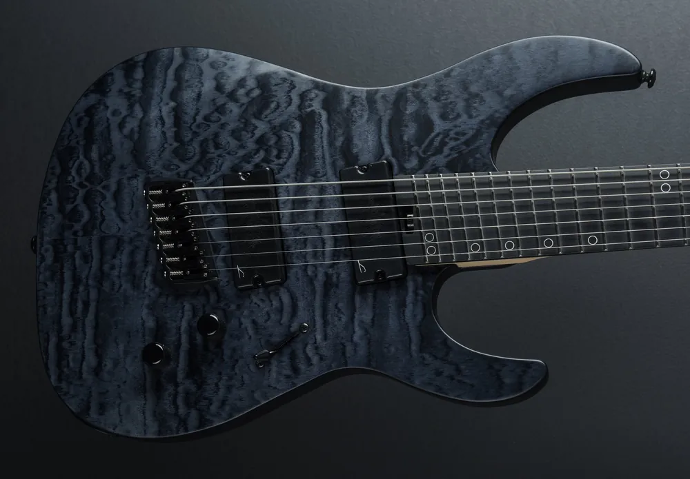 Secure Checkout Ninja N7FSS - Black QM– Dave's Guitar Shop