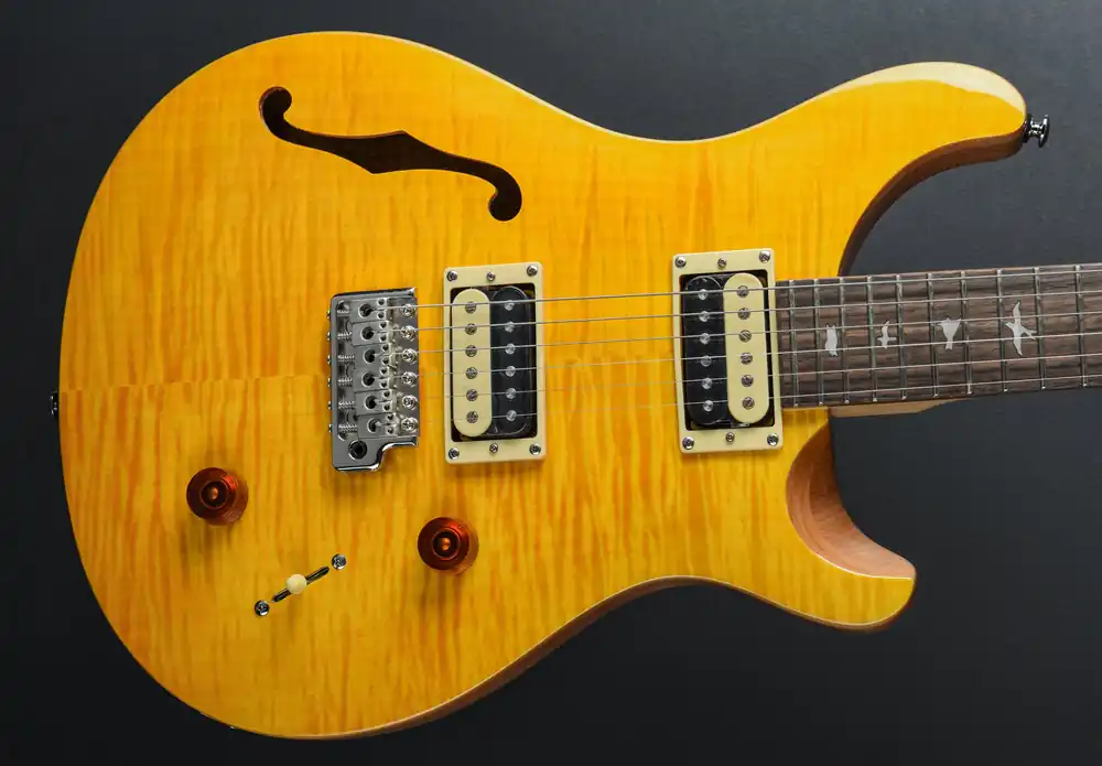 Final Sale SE Custom 22 Semi-Hollow '22– Dave's Guitar Shop
