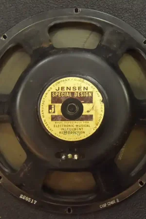Weekend Sale C15P 15" Speaker - 8 OHMs, 1965– Dave's Guitar Shop
