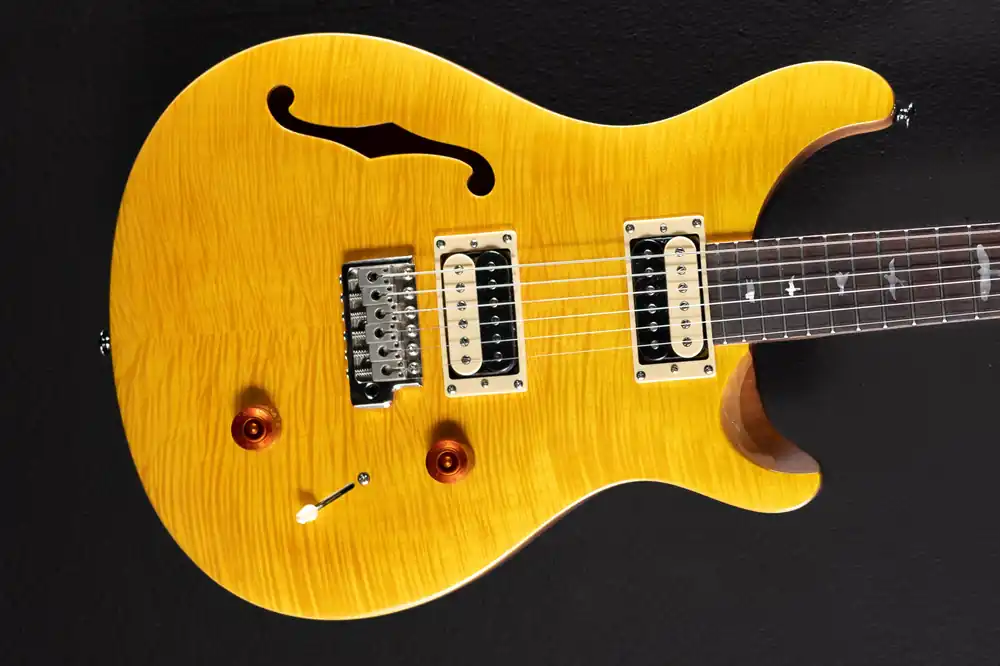 Special Discount SE Custom 22 Semi-Hollow '21– Dave's Guitar Shop