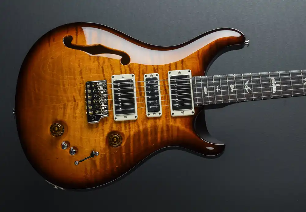 Special 22 Semi Hollow - Amber Smokewrap Burst– Dave's Guitar Shop Same Day Shipping