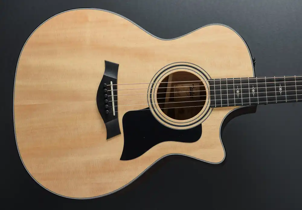 Limited Edition 314CE– Dave's Guitar Shop