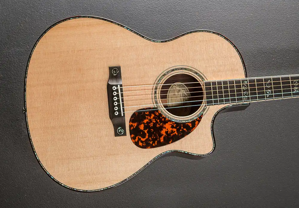New Arrival LV-10 Rosewood '23– Dave's Guitar Shop