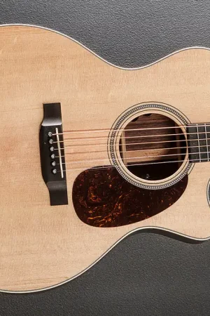 Warranty Included GPC-16E Rosewood - Satin– Dave's Guitar Shop