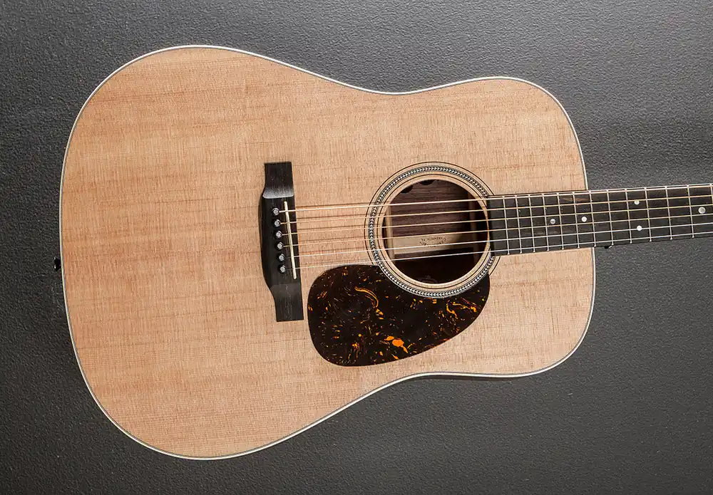 D-16E Rosewood - Satin– Dave's Guitar Shop Best Seller