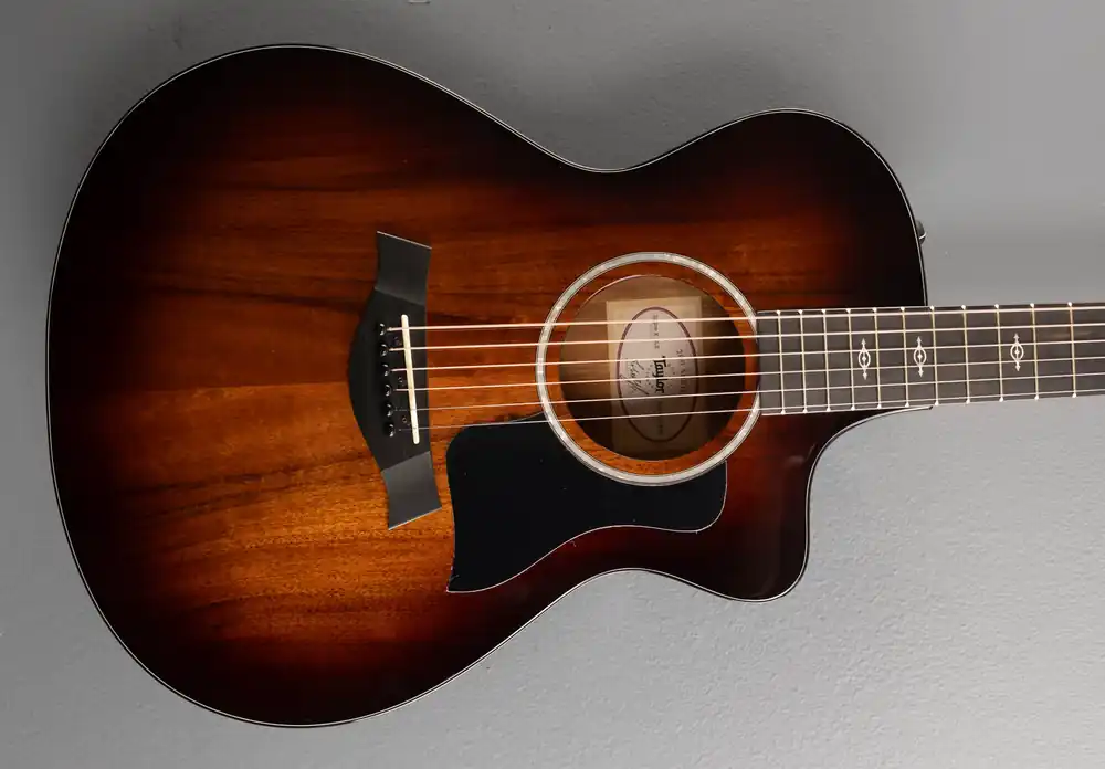 Latest 222ce-K DLX– Dave's Guitar Shop