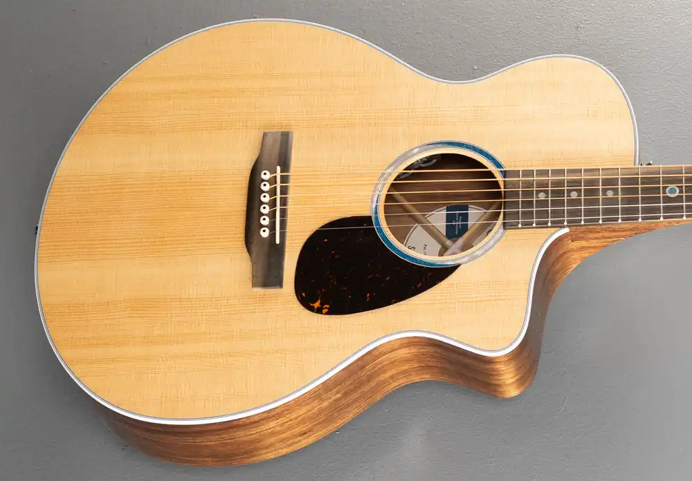 Time-Limited SC-13E– Dave's Guitar Shop