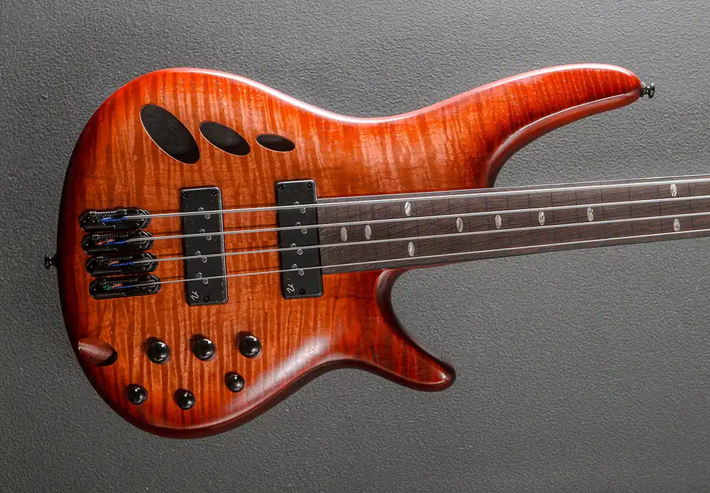 SRD900F Fretless Bass - Brown Topaz Burst Low Gloss– Dave's Guitar Shop Cheap