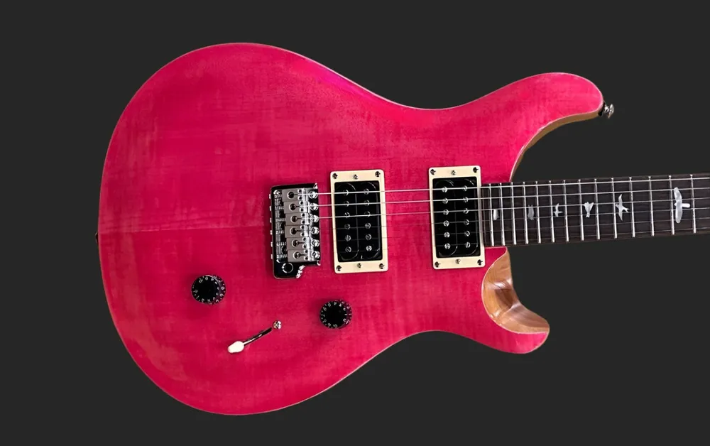 SE Custom 24 '22– Dave's Guitar Shop Professional Grade