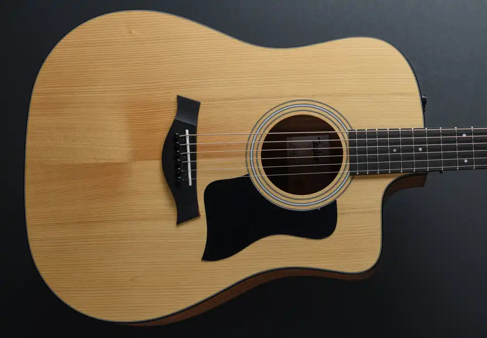 110CE– Dave's Guitar Shop Flash Sale