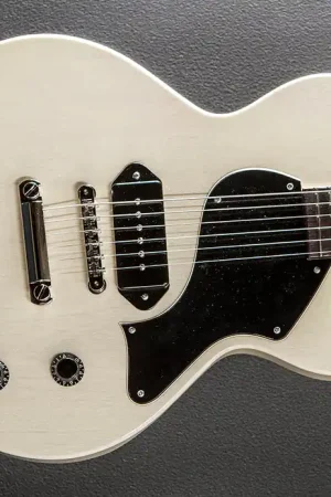 290 S– Dave's Guitar Shop Trusted Brand