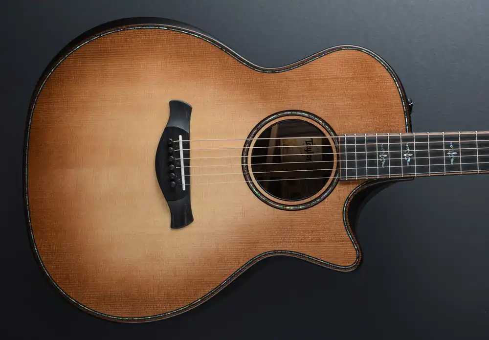Builder's Edition 914CE– Dave's Guitar Shop Viral