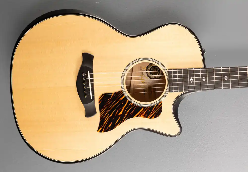 50th Anniversary Builder's Edition 314ce Limited– Dave's Guitar Shop Top Rated