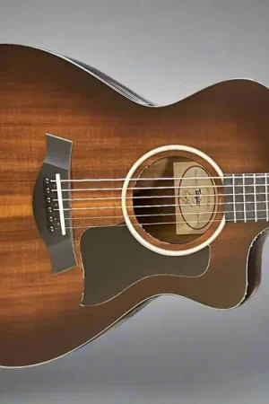 222CE-K DLX– Dave's Guitar Shop Direct From Factory