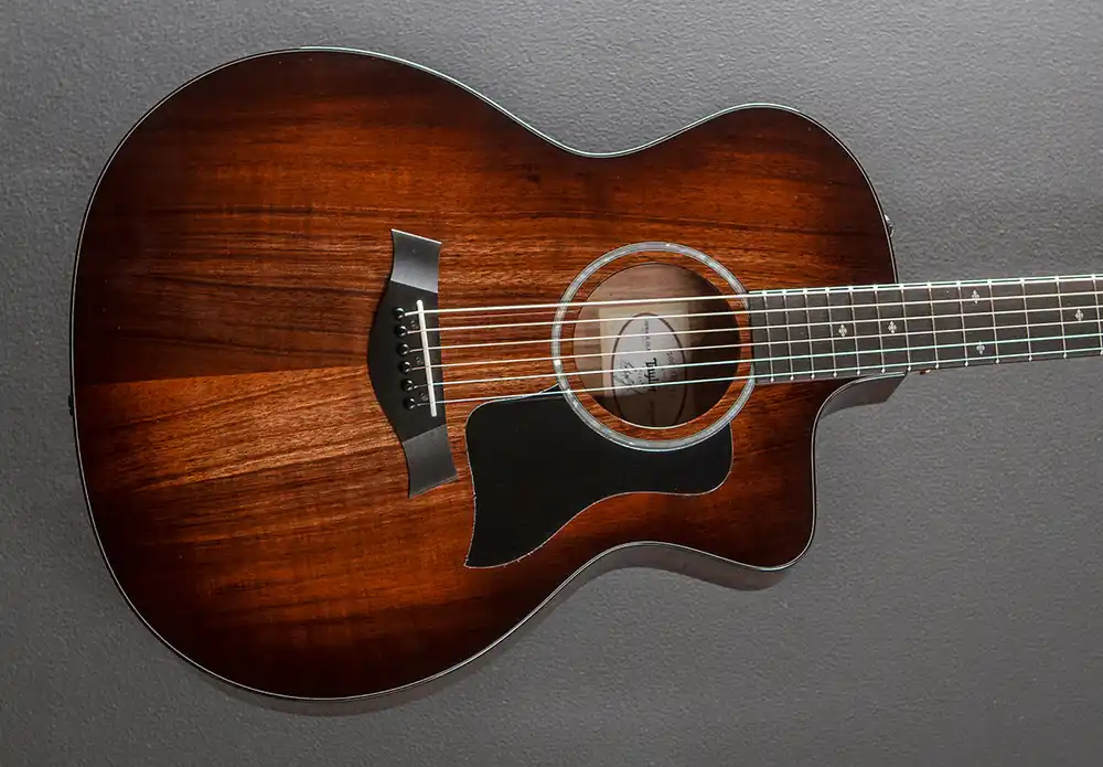 Brand New 224CE-K DLX– Dave's Guitar Shop