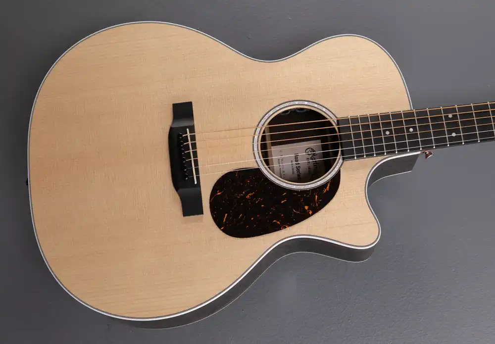 Low Price GPC-13E Ziricote– Dave's Guitar Shop